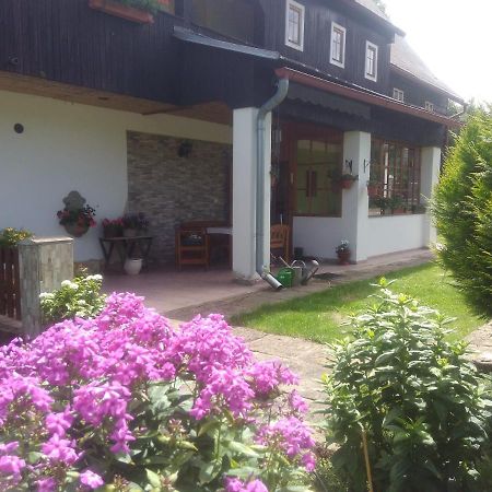 Srbská Kamenice Ubytovani U Sviraku מראה חיצוני תמונה